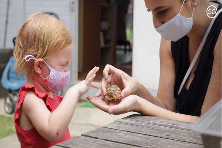 Anak-anak bisa berinteraksi dan mengenal lebih jauh tentang hewan kura-kura di The Live Turtle and Tortoise Museum (Dok. VisitSingapore)