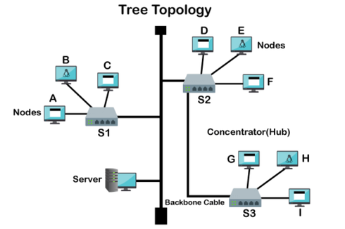 Cara Kerja Topologi Tree dan Fungsinya dalam Jaringan Komputer yang Perlu Diketahui