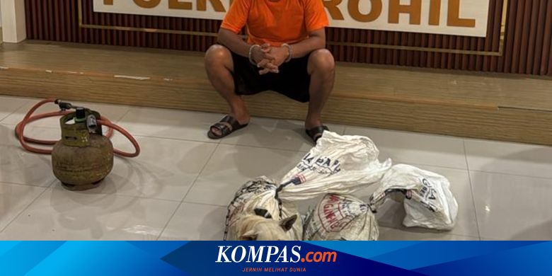 Jual Daging Anjing, Pemilik Warung Makan di Rokan Hilir Ditangkap