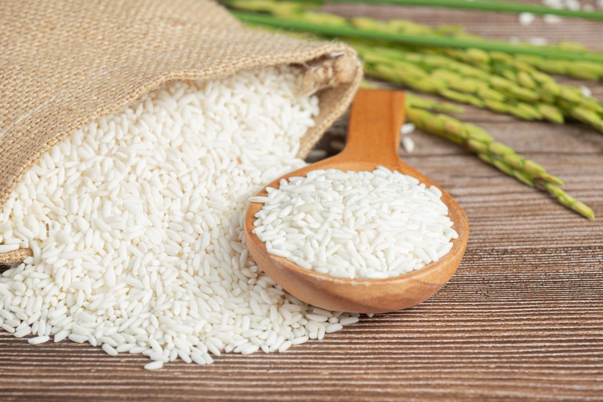 Ilustrasi zakat fitrah. Simak besaran zakat fitrah 2024 di 27 Kabupaten Jombang baik dalam bentuk beras maupun uang tunai pada bulan Ramadhan 1445 H.