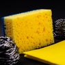 Cara Mencuci Spons Cuci Piring agar Tak Jadi Sarang Kuman
