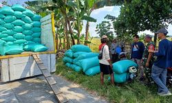 Tembus 1 Juta Ton, Bulog Terus Maksimalkan Hasil Panen Raya