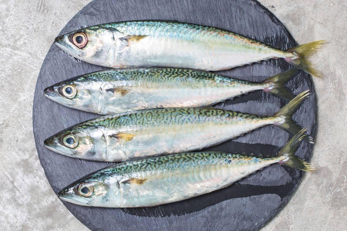 Penelitian mengungkap ikan hasil perdagangan global mengandung bahan kimia abadi (PFAS) yang berbahaya bagi kesehatan manusia.
