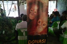 Todung: Orangutan dan Hutan Gambut Penting untuk Jaga 