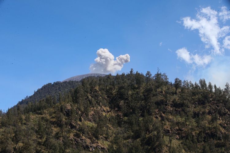 Wedhus gembel terlihat keluar dari kawah Gunung Semeru, Lumajang, Jawa Timur, Kamis (18/9/2019).