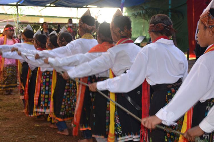 Para penari mulai menarik tali sambil bernyanyi dalam tradisi Umbiro pada perayaan pesta ke-54 tahun Sekolah Dasar Katolik Waekekik, Desa Ranakolong, Kota Komba, Manggarai Timur, Flores, NTT, Selasa (1/8/2017). 