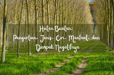 Hutan Buatan: Pengertian, Jenis, Ciri, Manfaat, dan Dampak Negatifnya