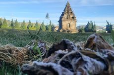 Cuaca Dingin Ekstrem di Dieng, Pendaki Gunung Prau Harus Waspada