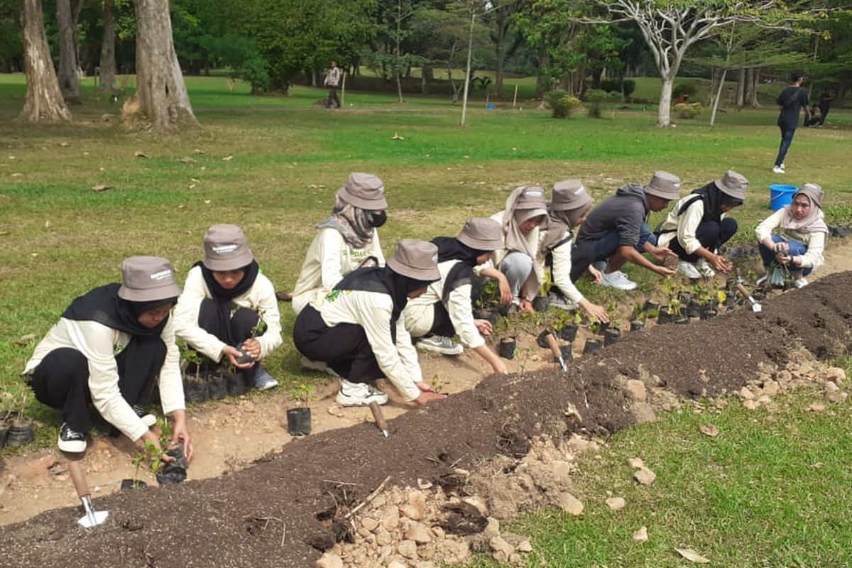 Penghijauan KCBN Candi Muaro Jambi di Kabupaten Muaro Jambi lewat aksi Siap Sadar Lingkungan (Darling) Bakti Lingkungan Djarum Foundation (BLDF) pada Rabu (23/8/2023).