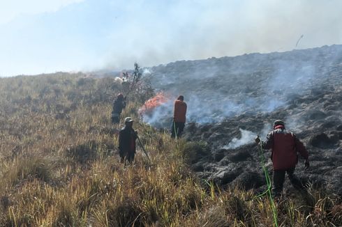 Kebakaran Taman Nasional Bromo Tengger Semeru, Api di Blok Watu Gede Belum Padam 