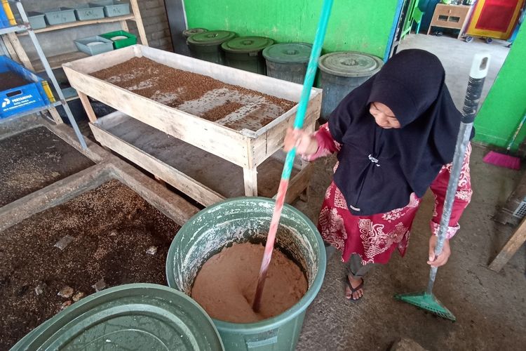 Bididaya Magot di Lombok Tengah dari limbah sampah organik rumah tangga