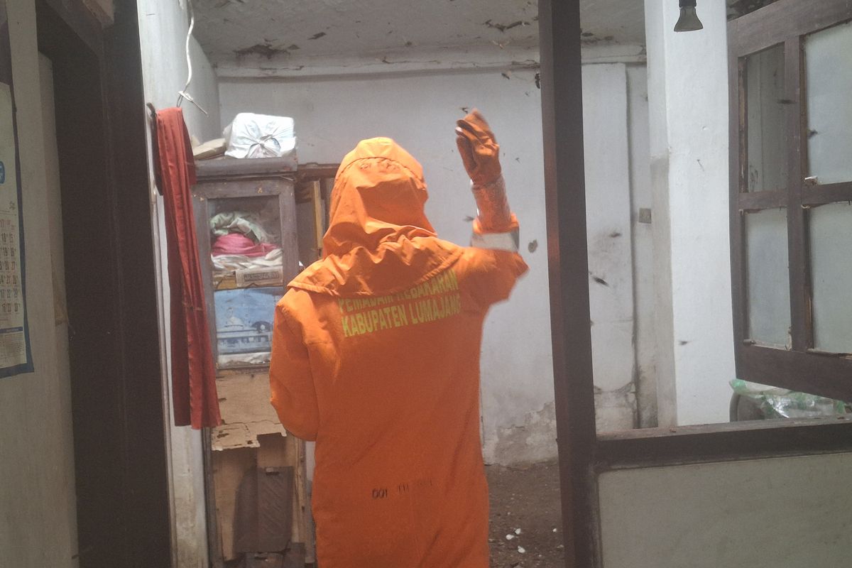 Petugas pemadam kebakaran semprotkan bensin untuk evakuasi tawon vespa affinis di Lumajang, Rabu (22/1/2025).