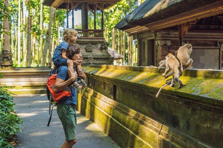 Illustration of Bali. Tourists are on vacation at the Sacred Monkey Forest, Gianyar, Bali.