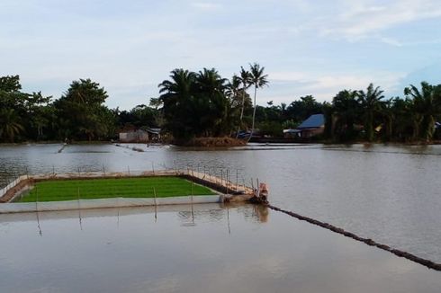 Pertanian Ditetapkan Jadi Program Jangka Panjang di Sumut dan Aceh
