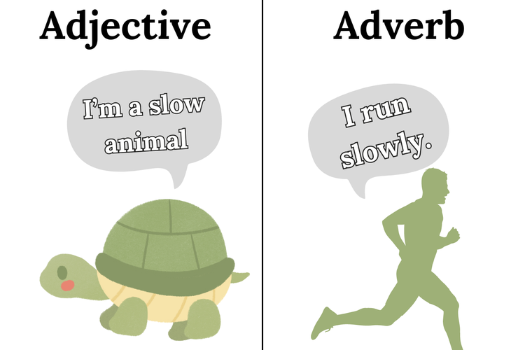 Adjective merupakan kata yang memodifikasi noun. Sementara adverb adalah kata yang memodifikasi verb, adjective, dan adverb.