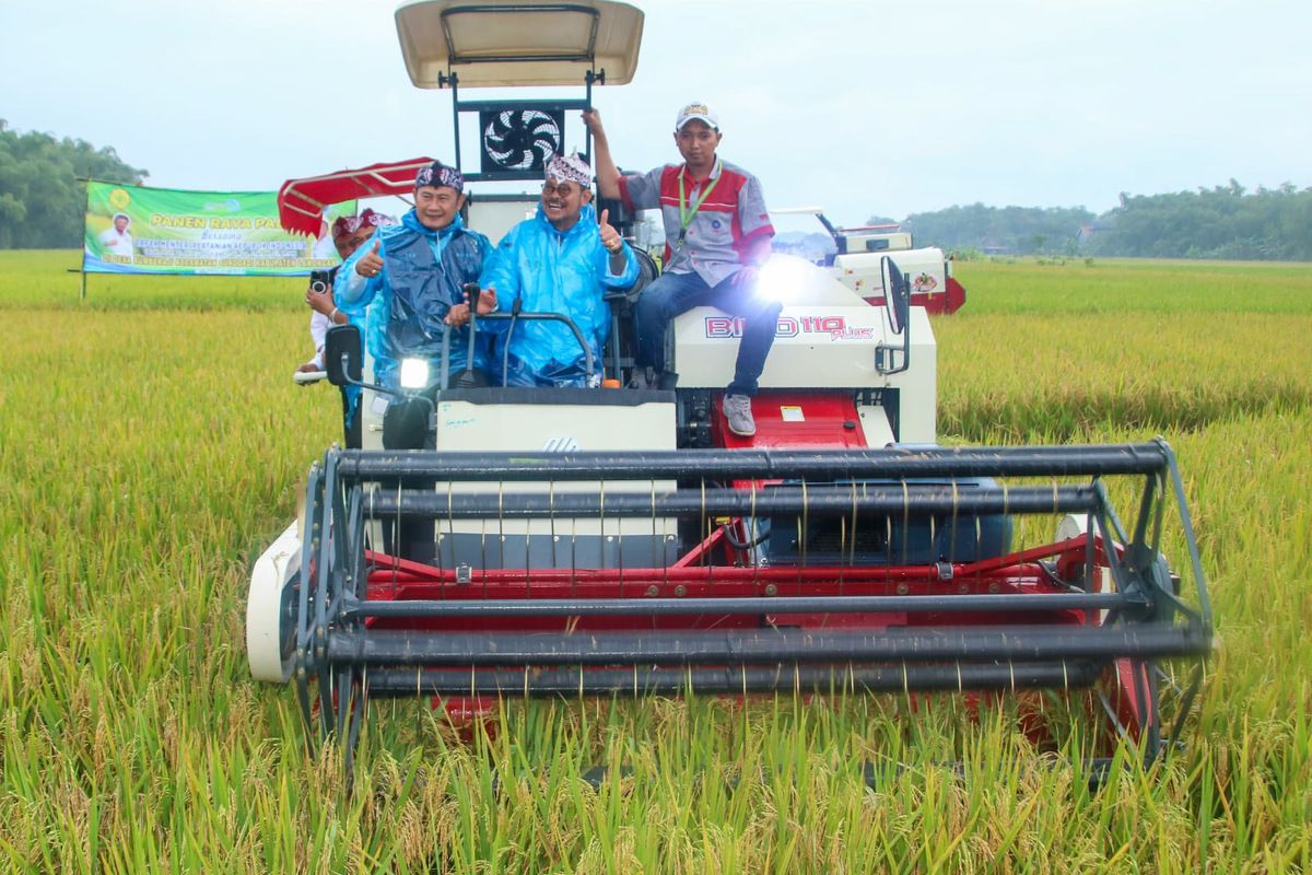 Mentan RI Syahrul Yasin Limpo (tengah) bersama Bupati Lamongan Yuhronur Efendi (kiri), menyaksikan panen raya padi di lahan persawahan Desa Sumberaji, Kecamatan Sukodadi, Lamongan, Jawa Timur, Rabu (15/2/2023).