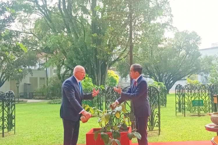 Presiden Joko Widodo dan Gubernur Jenderal Australia, David Hurley saat menanam pohon di halaman belakang Istana Kepresidenan Bogor, Jawa Barat pada Jumat (17/5/2024).