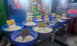 Harga Beras Malah Naik di Tengah Penyaluran Bantuan Pangan dan SPHP