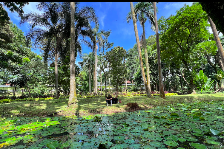 Taman Langsat, salah satu pilihan tempat dating gratis di Jakarta untuk merayakan Hari Valentine bersama pasangan. 