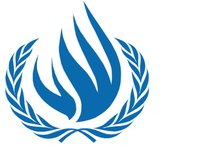 Ilustrasi anggota Dewan HAM PBB atau United Nations Human Rights Council periode 2024-2026.
