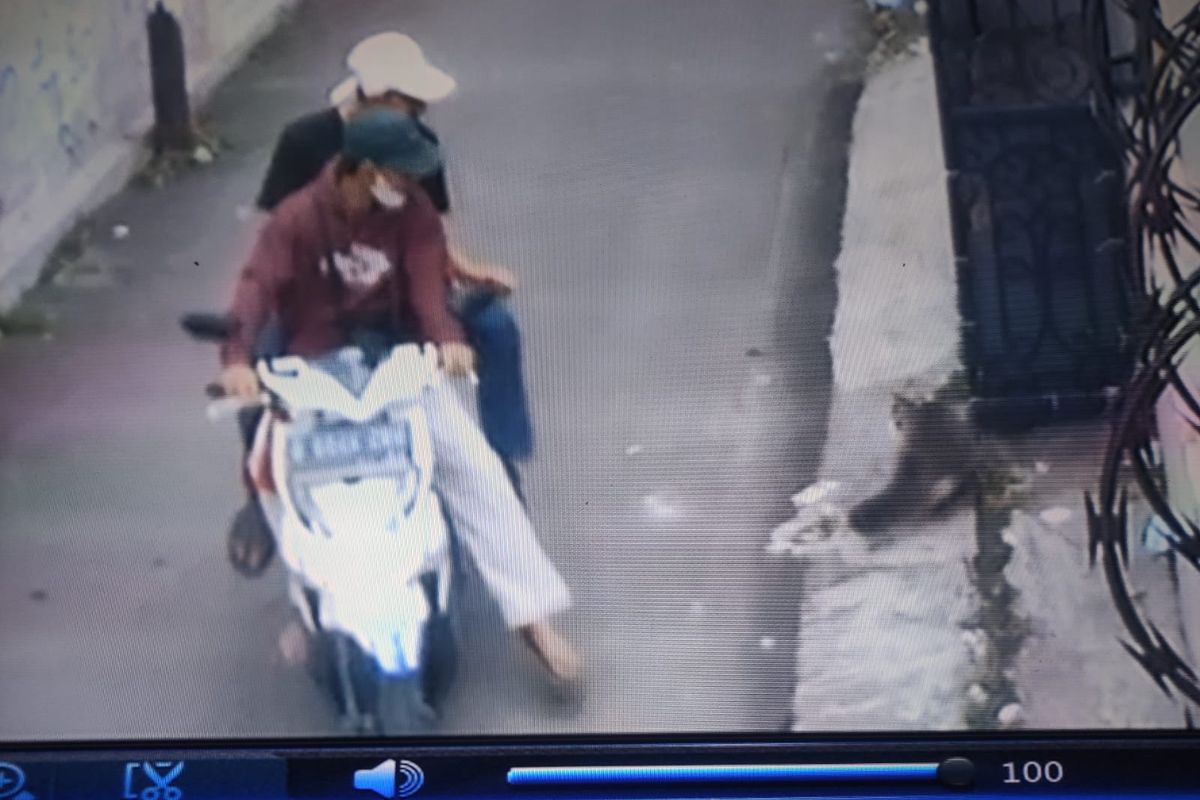 Seekor kucing ras persia digondol oleh pencuri yang menggunakan sepeda motor di sebuah permukiman warga di Jalan Madrasa Kampung Utan, Limo, Depok, Jawa Barat.