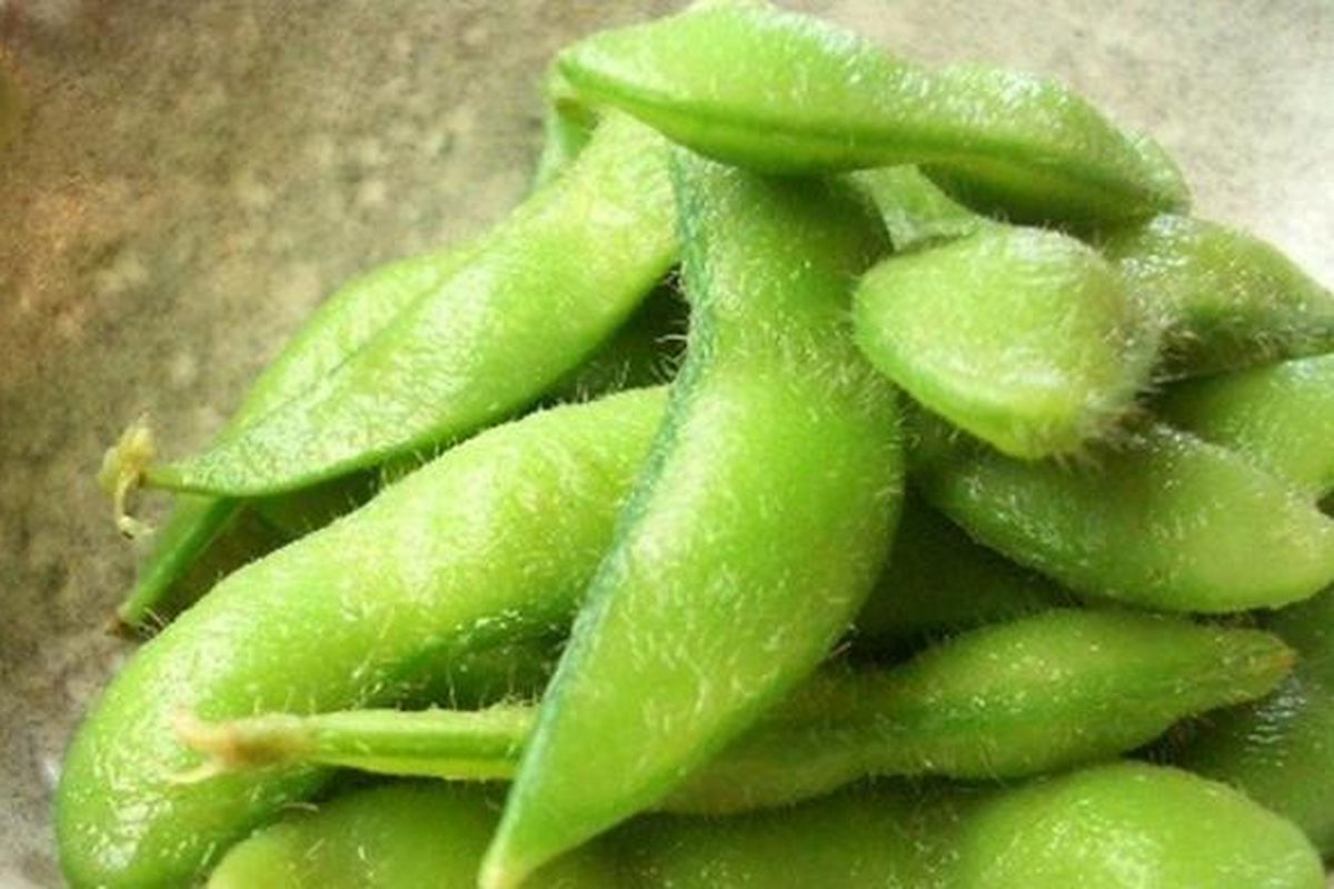 Ilustrasi edamame