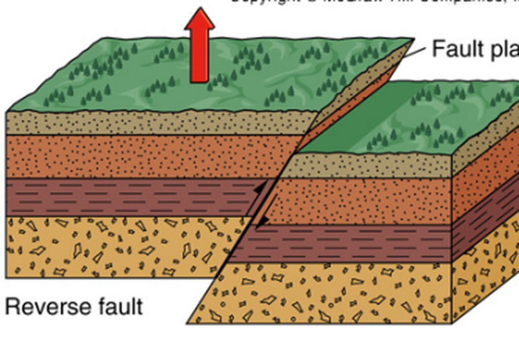 Sesar jenis reserve fault