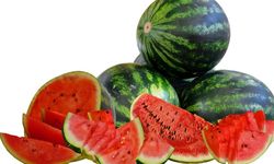 Lawan Krisis Iklim, BRIN Genjot Pemuliaan Tanaman Buah Pakai Speed Breeding