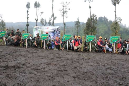 Sebanyak 50 Ribu Bibit Vetiver Ditanam di Lereng Gunung Semeru