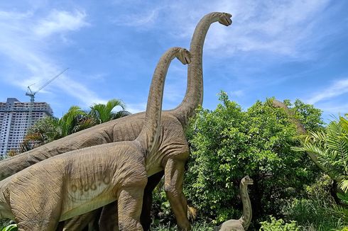 Mengenal Brachiosaurus, Dinosaurus Unik yang Mirip Jerapah