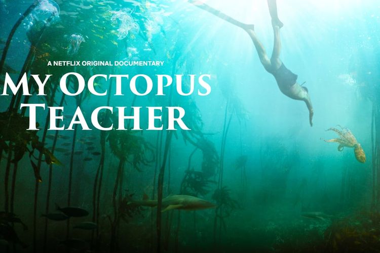 Film Dokumenter Netflix My Octopus Teacher (2020)