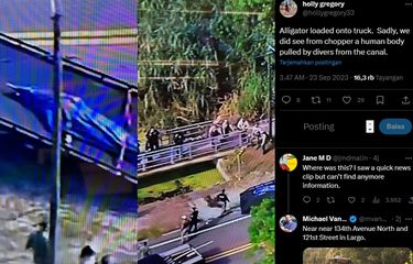 Tangkap layar foto aligator yang terlihat mengigit tubuh manusia di Florida.