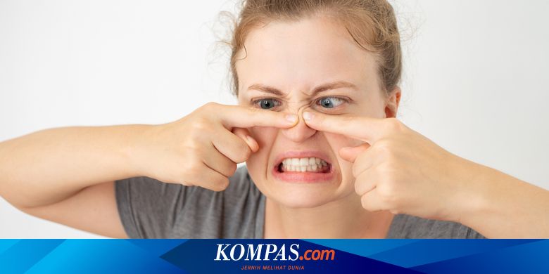Jerawat Di Dalam Hidung Jangan Dianggap Remeh Halaman All Kompas Com