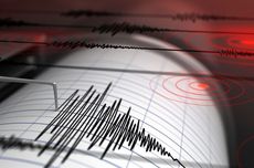 Gempa Terkini M 5,3 Guncang Jayapura Papua Akibat Sesar Anjak Mamberamo