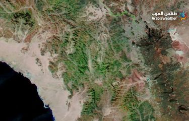 Tangkapan layar citra satelit yang menunjukkan kawasan di barat Kota Madinah berubah menjadi hijau
