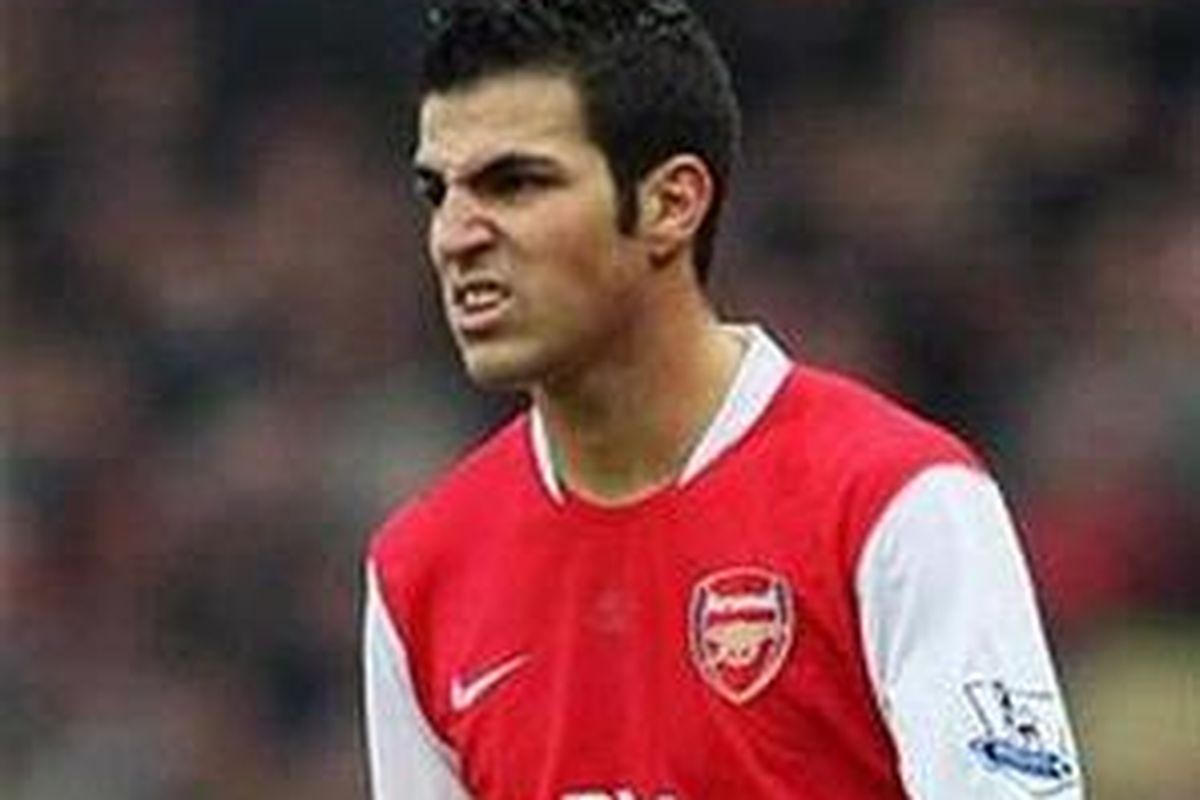 Cesc Fabregas mulai mengeluhkan kurangnya pengalaman dari pemain-pemain muda Arsenal.