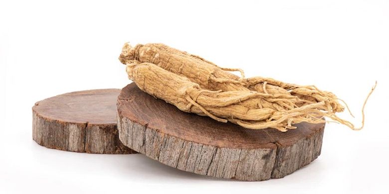 Ilustrasi ginseng sebagai obat alami diabetes