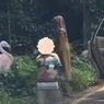 2 Wanita Bawa 3 Anak Kecil Turun dari Mobil di Area Terlarang Taman Safari, Tak Boleh Berkunjung Lagi