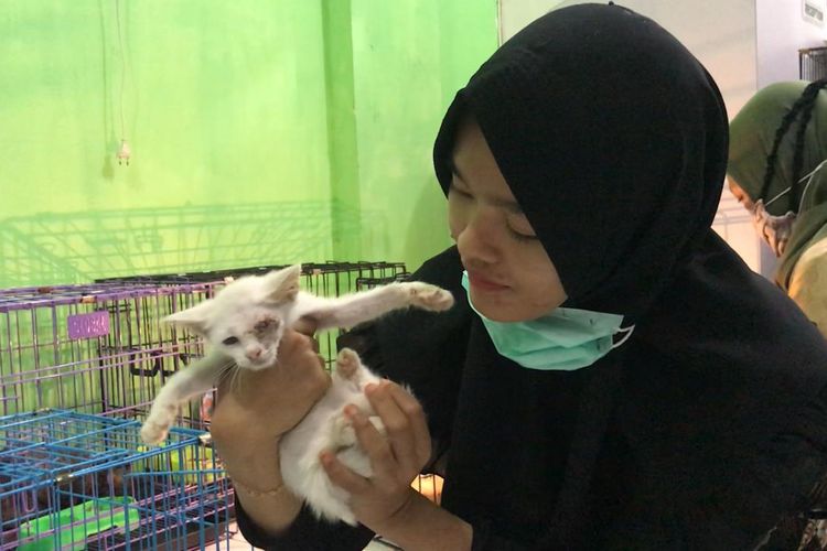 Talitha saat menunjukan seekor kucing yang ia evakuasi karena matanya terluka di klinik hewan di Jalan Antasari, Samarinda, Kaltim, Selasa (6/10/2020). 