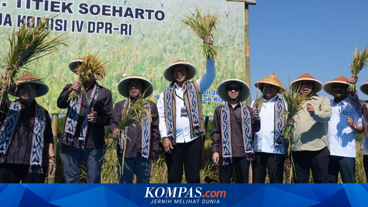 Bulog: Serapan Gabah 3,2 Juta Ton pada Semester I 2026, Stok Beras 5,4 Juta Ton