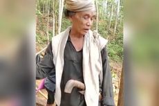 Hutan Sakral Baduy Dirusak hingga Warganya Menangis, Dedi Mulyadi: Malu, Orang Beragama Melakukan Perusakan...