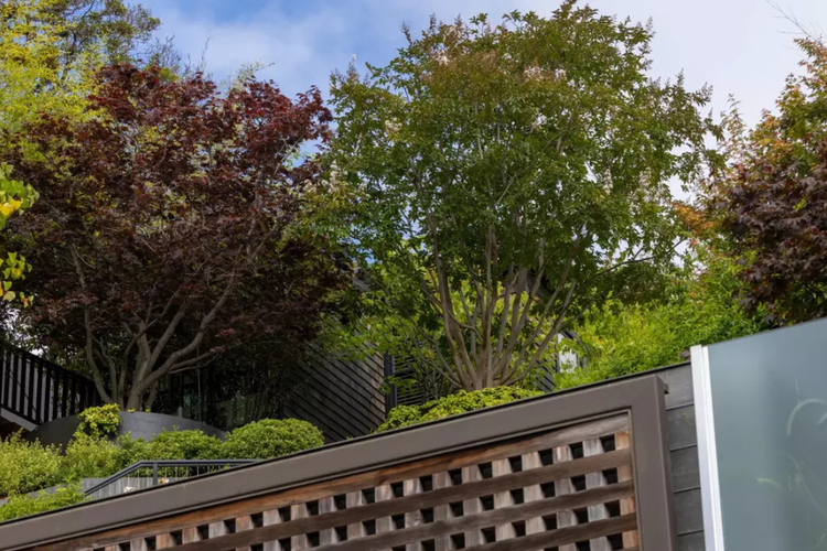 Eksterior luar rumah Altman di Lombard Street yang menjadi sasaran serangan. 