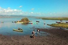 Danau Limboto, Jadi Tempat Singgah Burung Migran