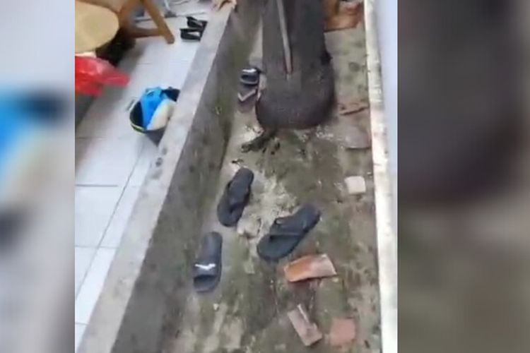 Viral Babi Hutan Seruduk Warga di Kuningan, Korban Terluka Saat Lindungi Anak-anak