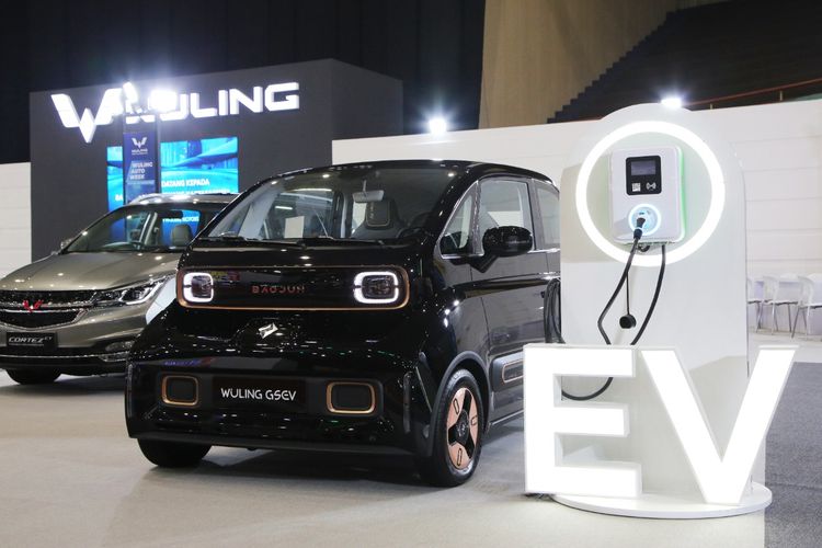 Global Small Electric Vehicle (GSEV) 
