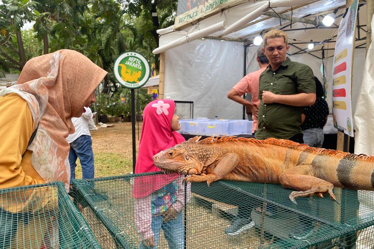 Aneka hewan yang dijual di Pameran Flona 2023 di Lapangan Banteng, Jakarta Pusat, pada 15 September-16 Oktober 2023. 