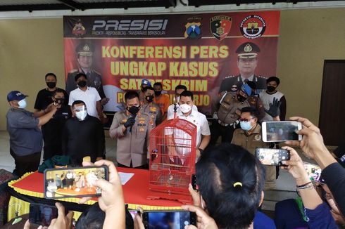 Polisi Bongkar Jual Beli Satwa Dilindungi, 33 Ekor Burung Endemik Papua Diperdagangkan