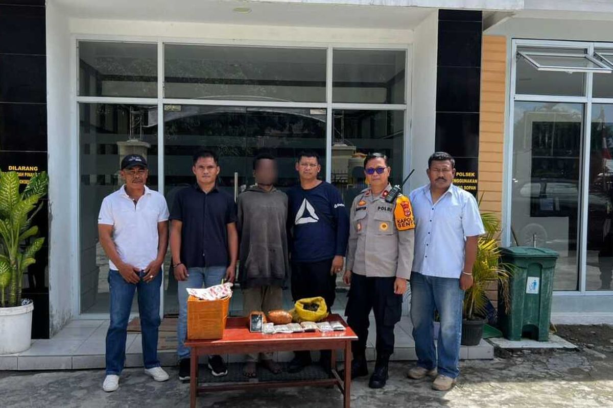 Samarkan Kiriman Ganja dalam Ikatan Kangkung, Pria di Sentani Dibekuk