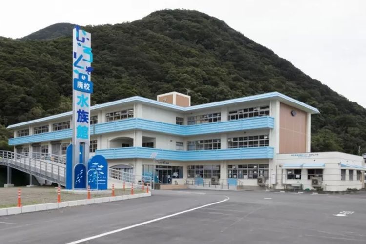 Muroto Haiko Aquarium dibangun di gedung bekas sekolah dan masih mempertahankan bentuk asli bangunannya.