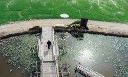 Emisi Gas Rumah Kaca dari Air Limbah Ternyata Jauh Lebih Besar